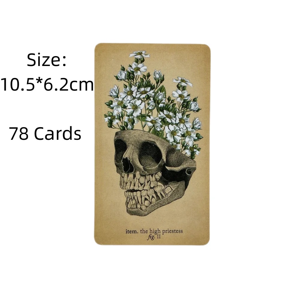 De antieke anatomie Tarotkaart - Card Game Deck recensie en prijs